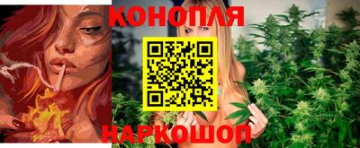 дмт Можайск